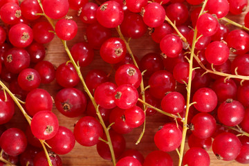red currant, berry fruit