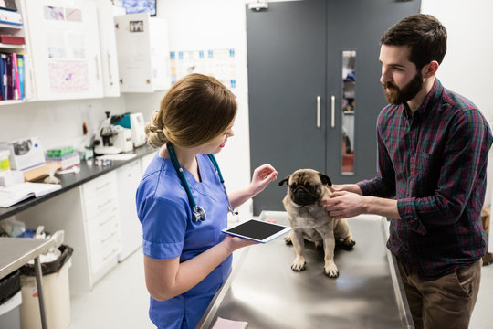 Vet examining dog with its owner