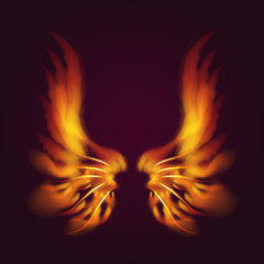 Bird fire wings vector fantasy feather burning fly mystic glow fiery burn hot art wings illustration on black.