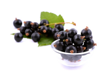 Black currant on white bakground. Currant berries with leaves.