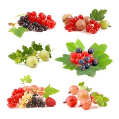 Gooseberry and currant, Berries isolated on white.