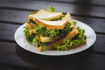 appetizing sandwich in a plate on the table