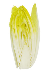 Chicory sliced, yellow (Cichorium intybus var foliosum) isolated on white - obrazy, fototapety, plakaty