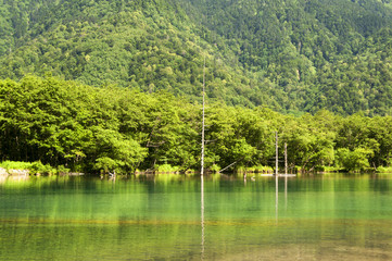 上高地_大正池