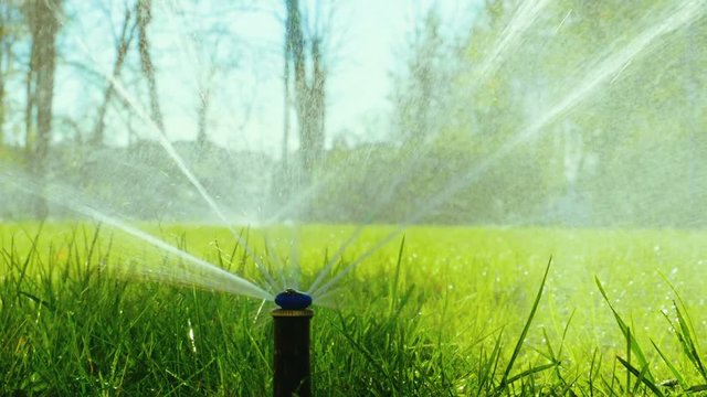 Summer landscape. Automatic watering system for plants and lawn. Slow motion. HD