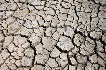 Climate warming dry chapped land