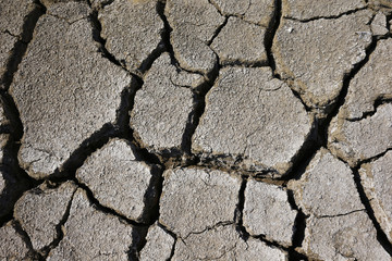 Climate warming dry chapped land