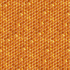 natural honey comb hexagonal texture, macro photo