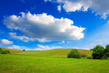 Obraz premium White big clouds and green field.
