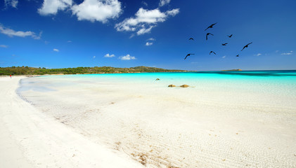 Traumstrand auf Sardinien