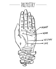 Hand drawn vector illustration of hand and palmistry scheme. Black drawing isolated on white background.