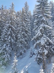 Biberwier, Austria 2018