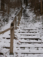 Treppe im Winterwald