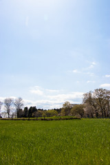 Spring of Akimoto Ranch in Chiba Prefecture, Japan