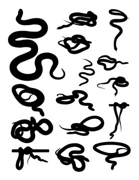 Snake animal detail silhouette. Vector, illustration. Good use for symbol, logo, web icon, mascot, sign, or any design you want.