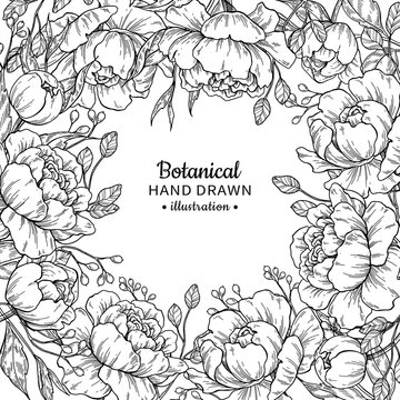 Vintage flower vector frame drawing. Peony, rose, leaves and ber