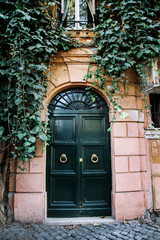 The entrance wooden door covered with green ivy. Rome, Italy.