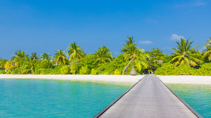 Tropical paradise beach. Wooden pier into the shadows of palm trees, azure lagoon water and blue sky