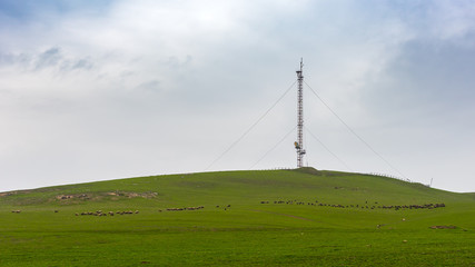 Cellular antenna tower on a green hill