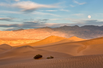 Fototapeta na wymiar Mesquite dunes in Death Valley, California, USA