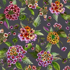 Stof per meter Beatiful lantana flowers with green leaves on white background. Seamless floral pattern.  Watercolor painting. Hand drawn illustration. © katiko2016