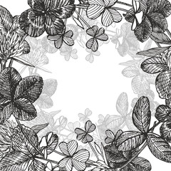 Hand-drawn graphic clover flower illustration. Painted botanical three-leaved meadow grass, isolated on white background. Happy St.Patrick 's Day card compositions.