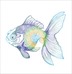 Black and white gold fish llustration. Drawing of a sea animal