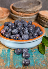 Organic healthy superfood blueberry in bowl, new harvest, raw, ready to eat