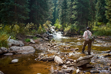 Fisherman fishing in mountain stream in wilderness - obrazy, fototapety, plakaty
