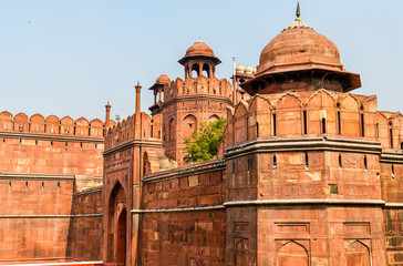 Fototapeta na wymiar Delhi Gate of Red Fort in Delhi, India