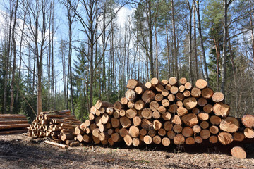 Timber industry