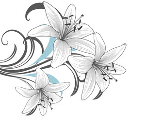 Monochrome  background with hand-drawn lily flowers.