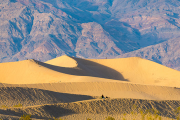 Fototapeta na wymiar Mesquite dunes in Death Valley, California, USA
