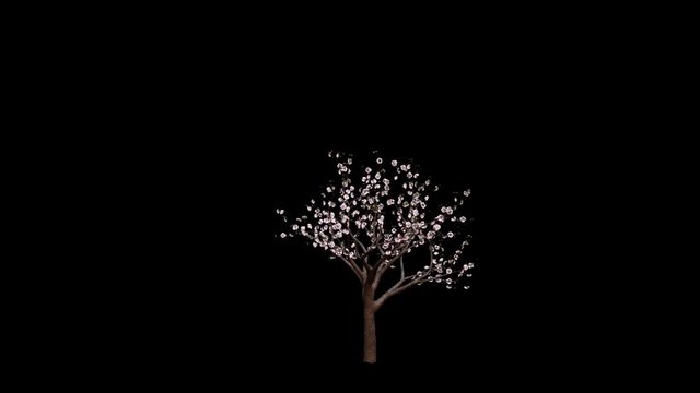 Sakura Tree. Alpha channel Included.