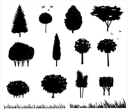 Set of different stylized silhouettes of trees on a white background.
