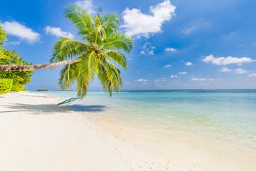 Obraz na płótnie Canvas Beautiful beach scene, palm trees and white sand blue sea