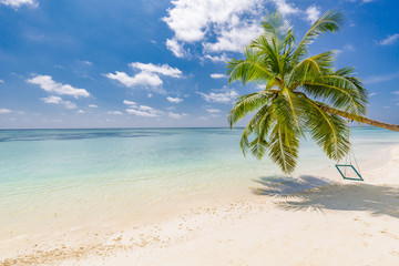 Obraz na płótnie Canvas Tropical sky and palm trees by the ocean. Maldives vacation tropical, travel, and destination wedding concept