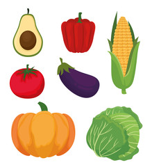 fresh vegetables organic and healthy food vector illustration design