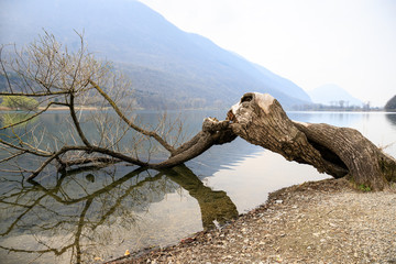 Fototapeta premium lago di Piano - Porlezza