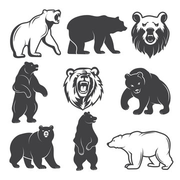 Monochrome illustrations of stylized bears. Pictures set for logos or badges design