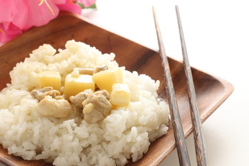 Thai food, chicken and new potato green curry on rice