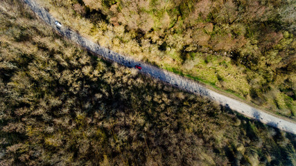 Asphalt road through the forest. Top view.