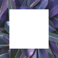 Creative layout made of purple  leaves with paper card note. Flat lay. Ultra violet concept