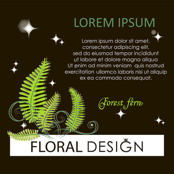 Flowering fern. Forest fern at night. Poster, label, green flower card with place for text. The image can be used by landscape designers, florists.    