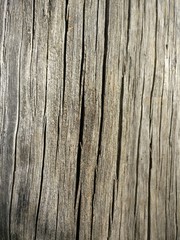 Textur Holz - IMG_20180304_164924