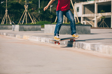 Fototapeta na wymiar Skateboarder riding skateboard going down the step