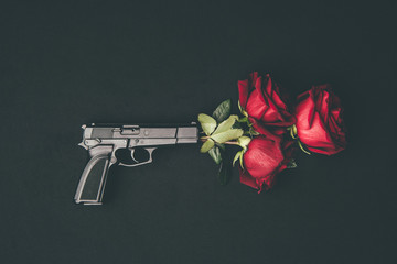 Red roses in gun barrel isolated on black © LIGHTFIELD STUDIOS