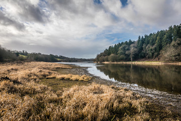 Paysage du lac du Jaunay asséché en hiver (Vendée, France)