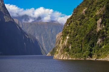 Fiordland
