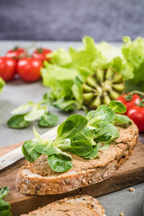 Slice of bread with hummus and salad